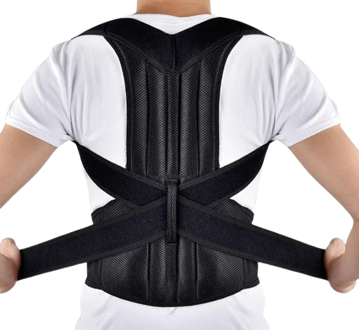 The difference between a thoraco-lumbar support belt (spinal belt)and a lumbar support belt.
